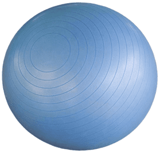 HUDSON STABILITY BALL